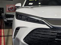 بي واي دي سونغ L DM-i